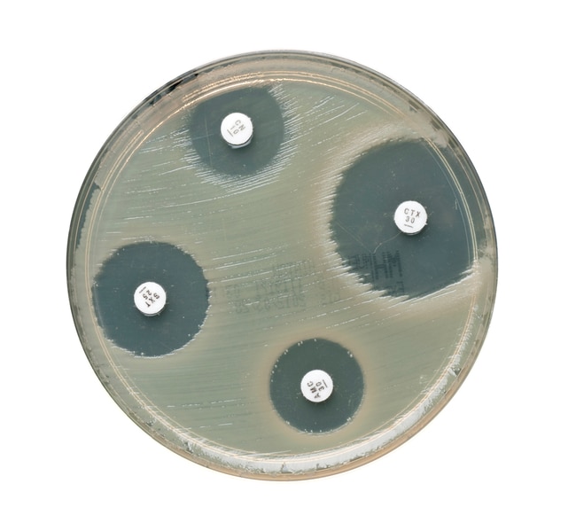 Oxoid Apramycin-Scheiben fu¨r Antibiotik